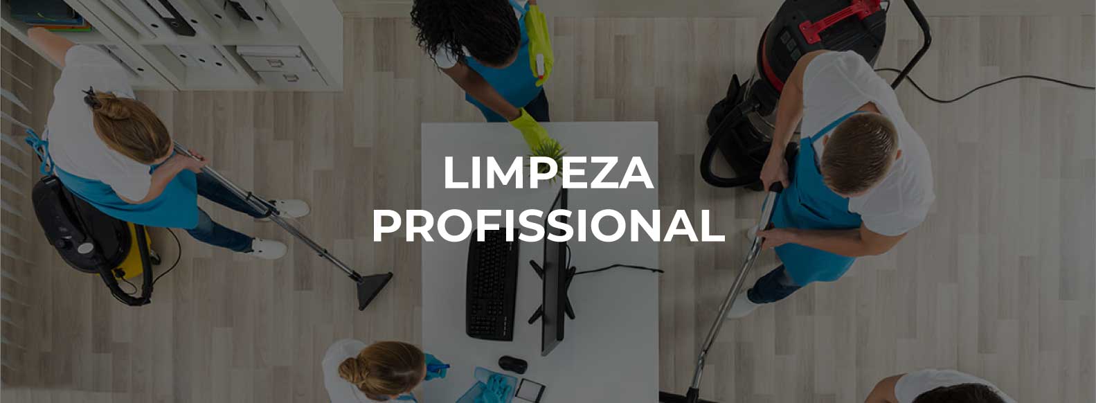 Limpeza Profissional Limpeza Profissional